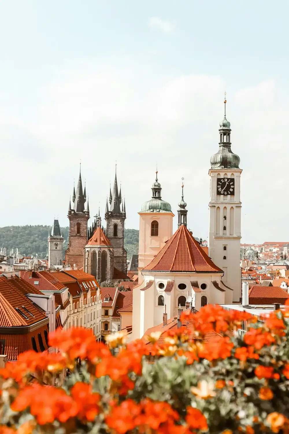 Věže Týnského chrámu a střechy Prahy s oranžovými květinami v popředí